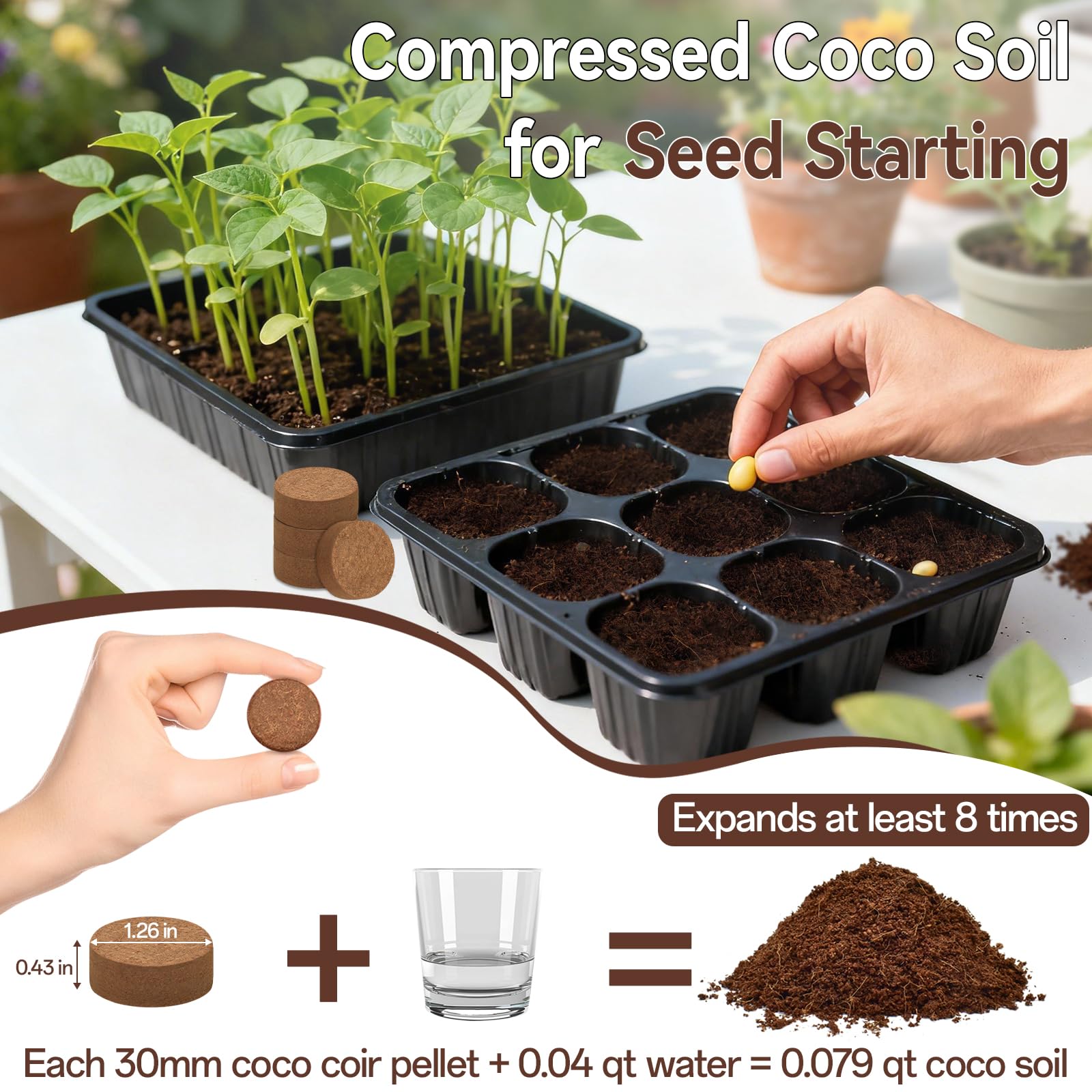 Halatool coco coir pellets expanding into fluffy soil after water addition