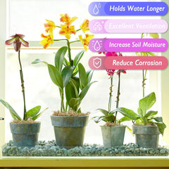 Halatool orchid-lining moss supports healthy roots with steady moisture.