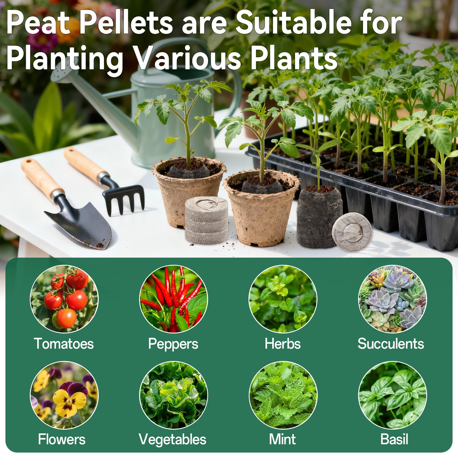 Halatool pellets supporting seed germination and hydration balance.