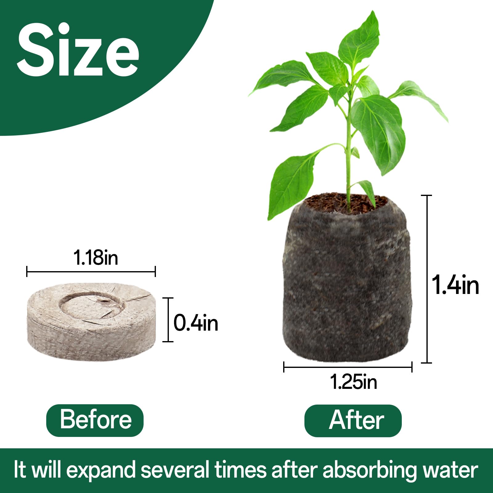 Halatool peat pellets expanding after water, showing easy preparation.