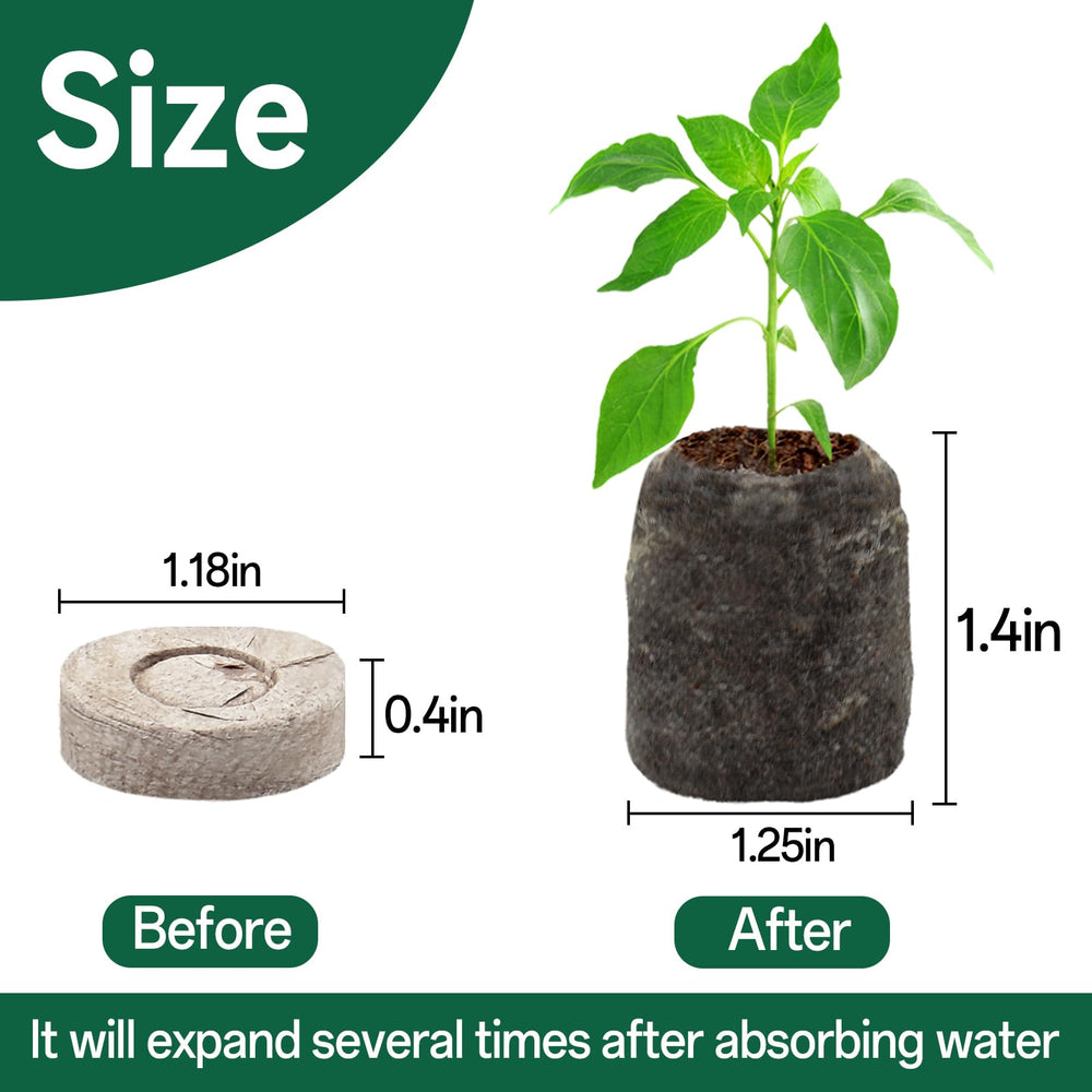 Halatool peat pellets expanding after water, showing easy preparation.