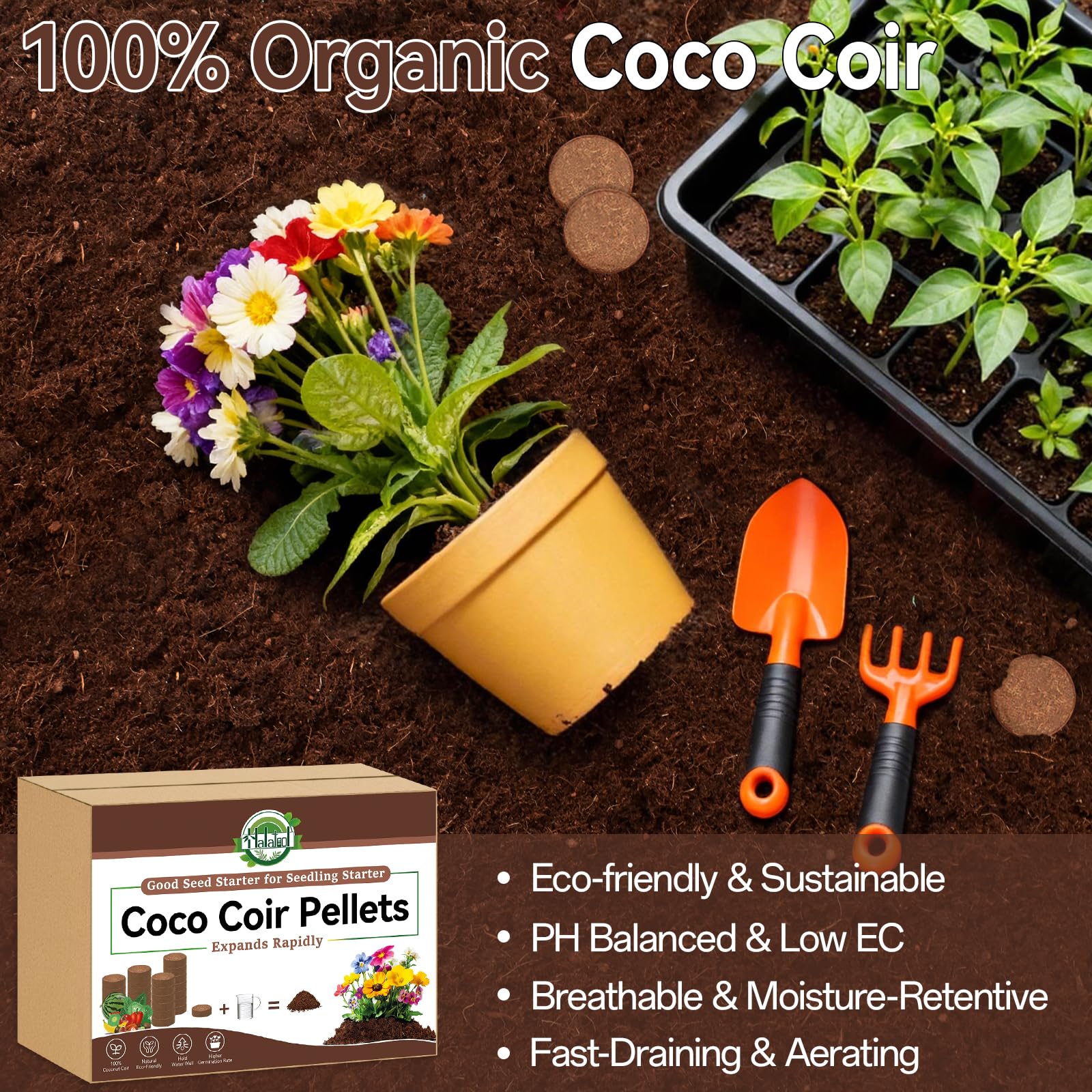 Halatool seed-starting coco coir pellets expanding in tray for seedlings