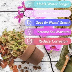 Halatool sphagnum moss water retention for thriving houseplants and terrariums.