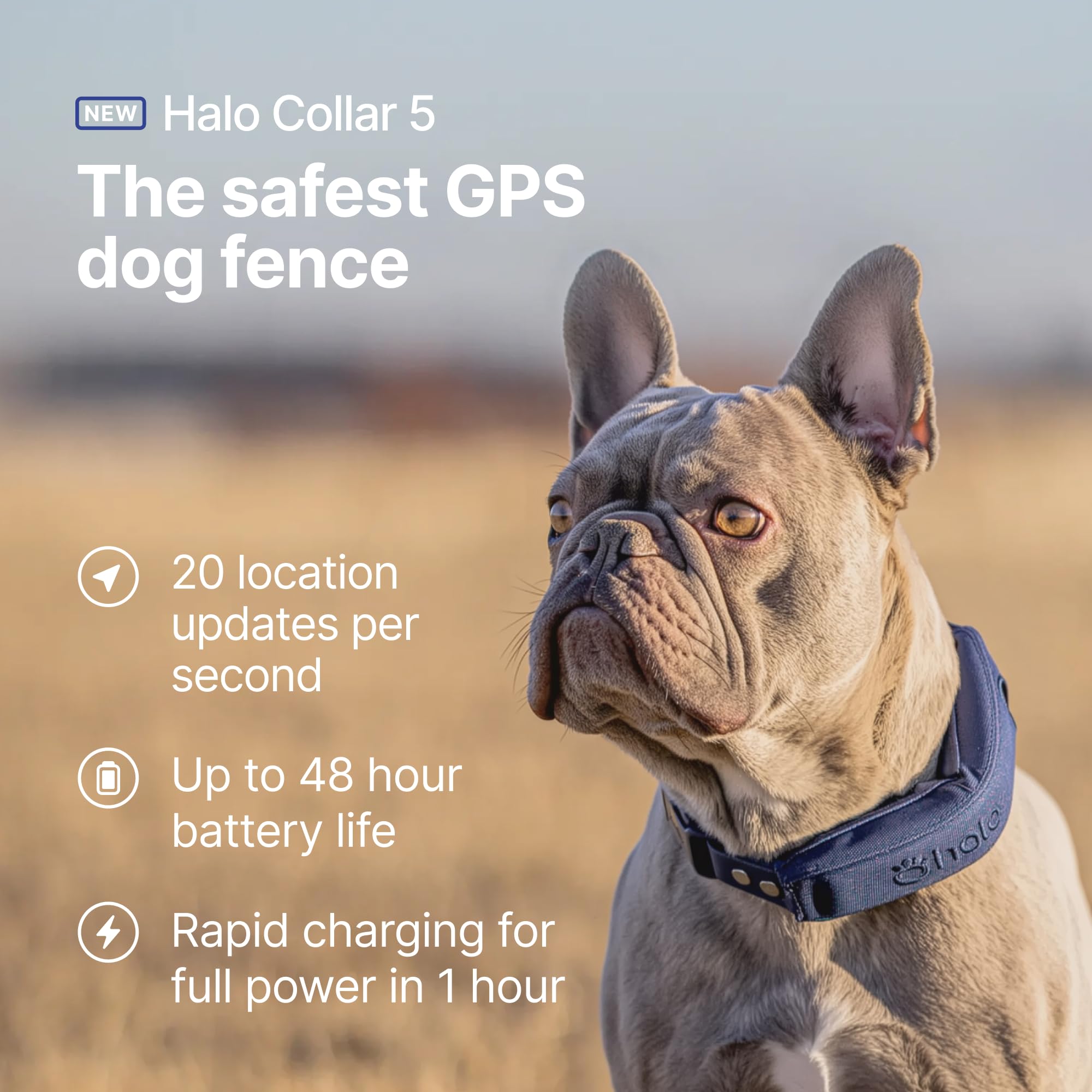 Halo Collar 5 AlwaysOn GPS provides continuous location updates.