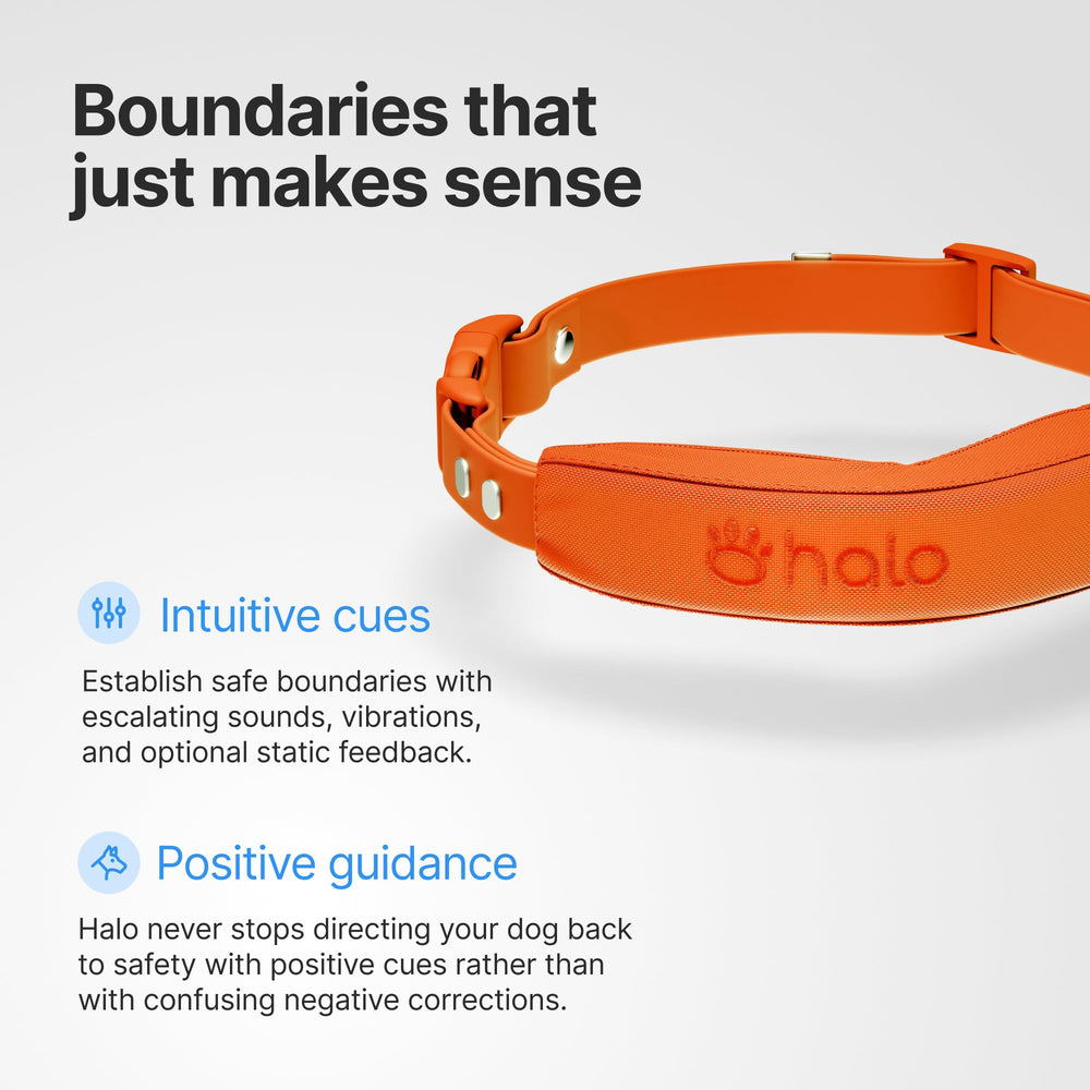 Halo Collar 5 48-hour battery life with rapid recharge for longer protection.