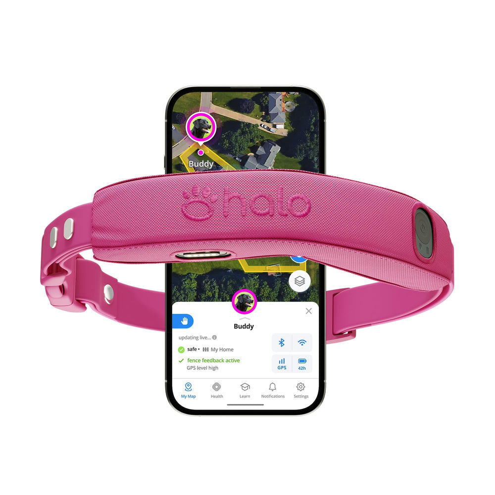 Halo Collar 5 precision GPS accuracy for reliable outdoor boundaries.