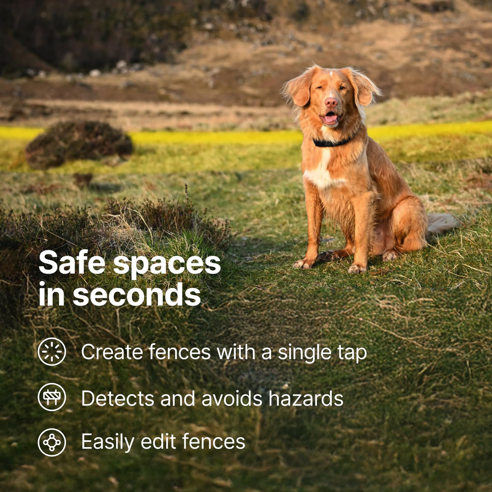 Halo Collar 5 built-in Cesar Millan training guidance for boundary understanding.