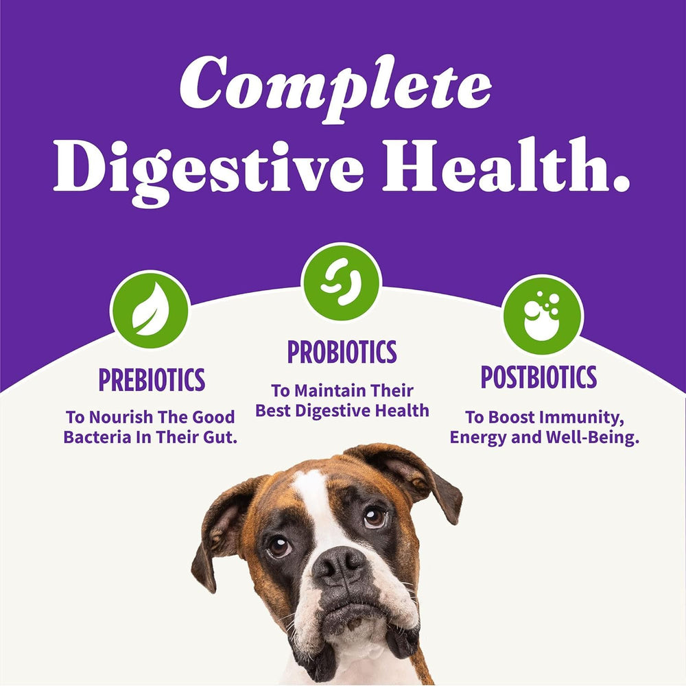 Halo Holistic adult dog nutrition emphasizes balanced daily feeding.
