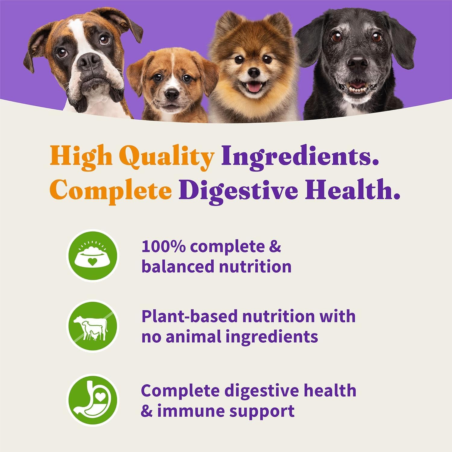 Halo Holistic Chien-sans-maïs-ble-soja : formule digeste sans allergènes courants.
