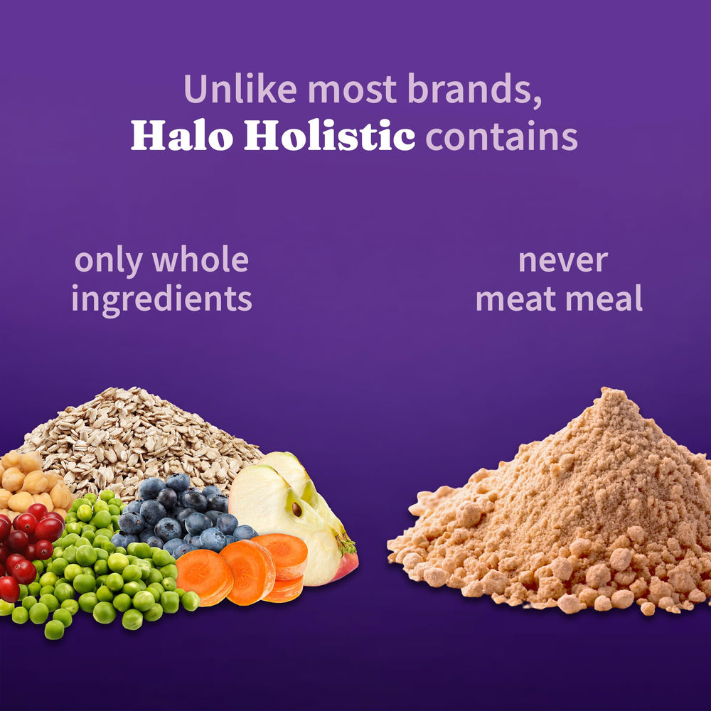 Halo Holistic Chien omega-poil-brillant : soutien peau et pelage.