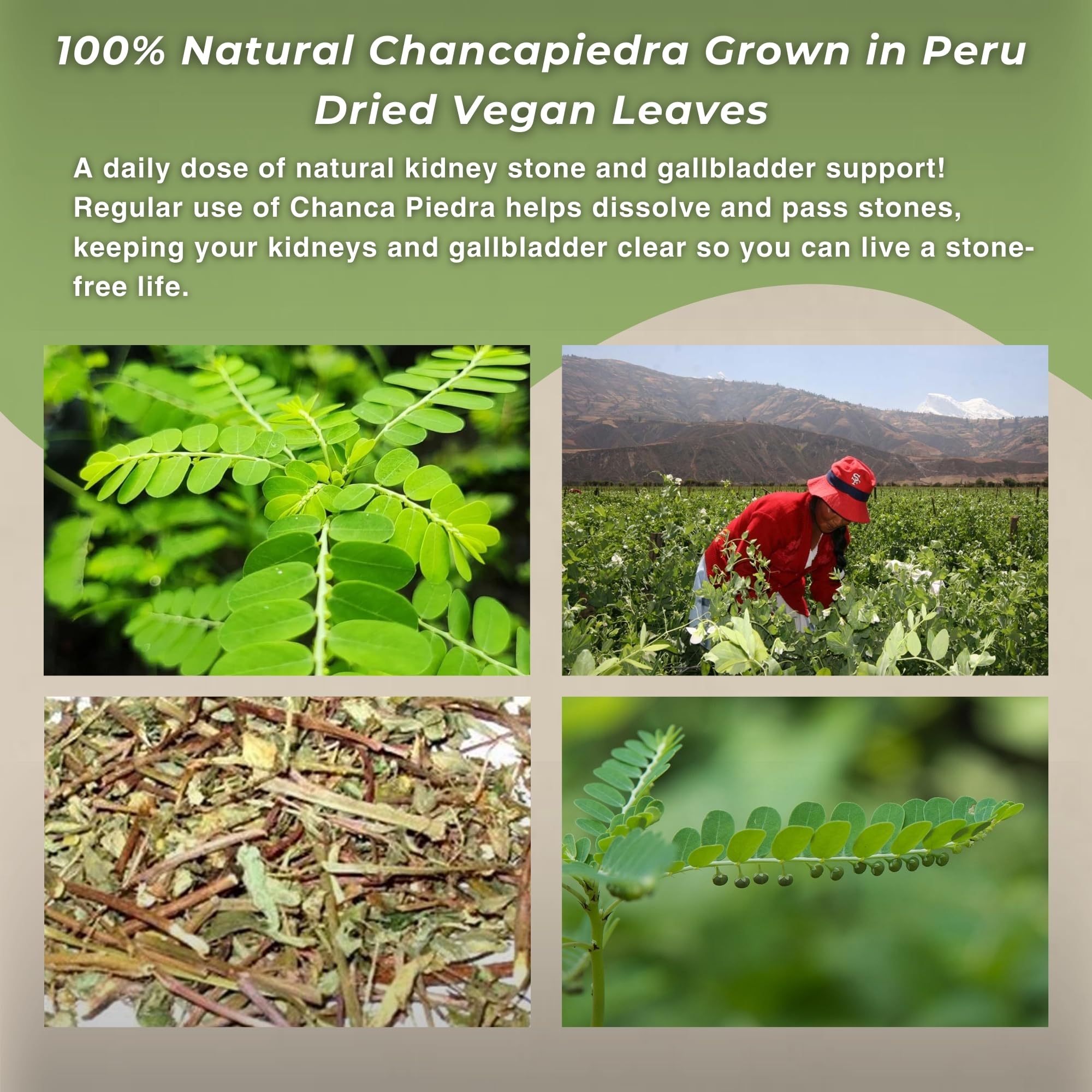 Hanan Chanca Piedra natural ingredients label emphasizes 100% natural, Peru-grown quality.