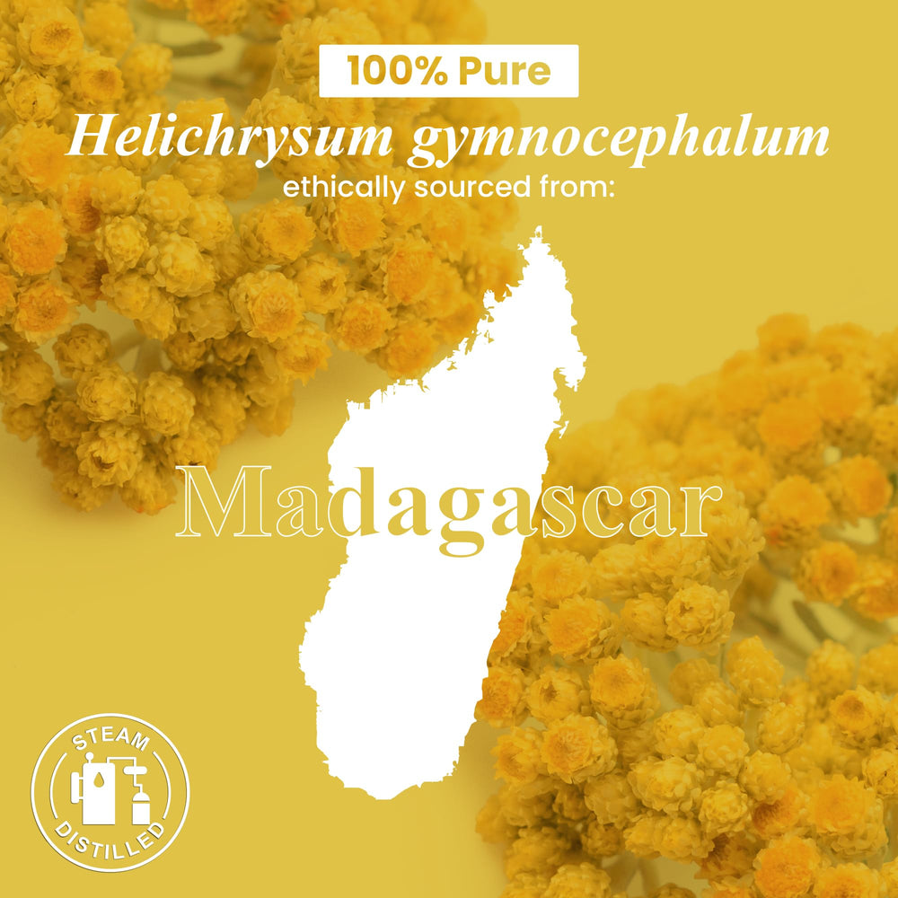 Handcraft Blends Helichrysum oil for massage and skincare routines.