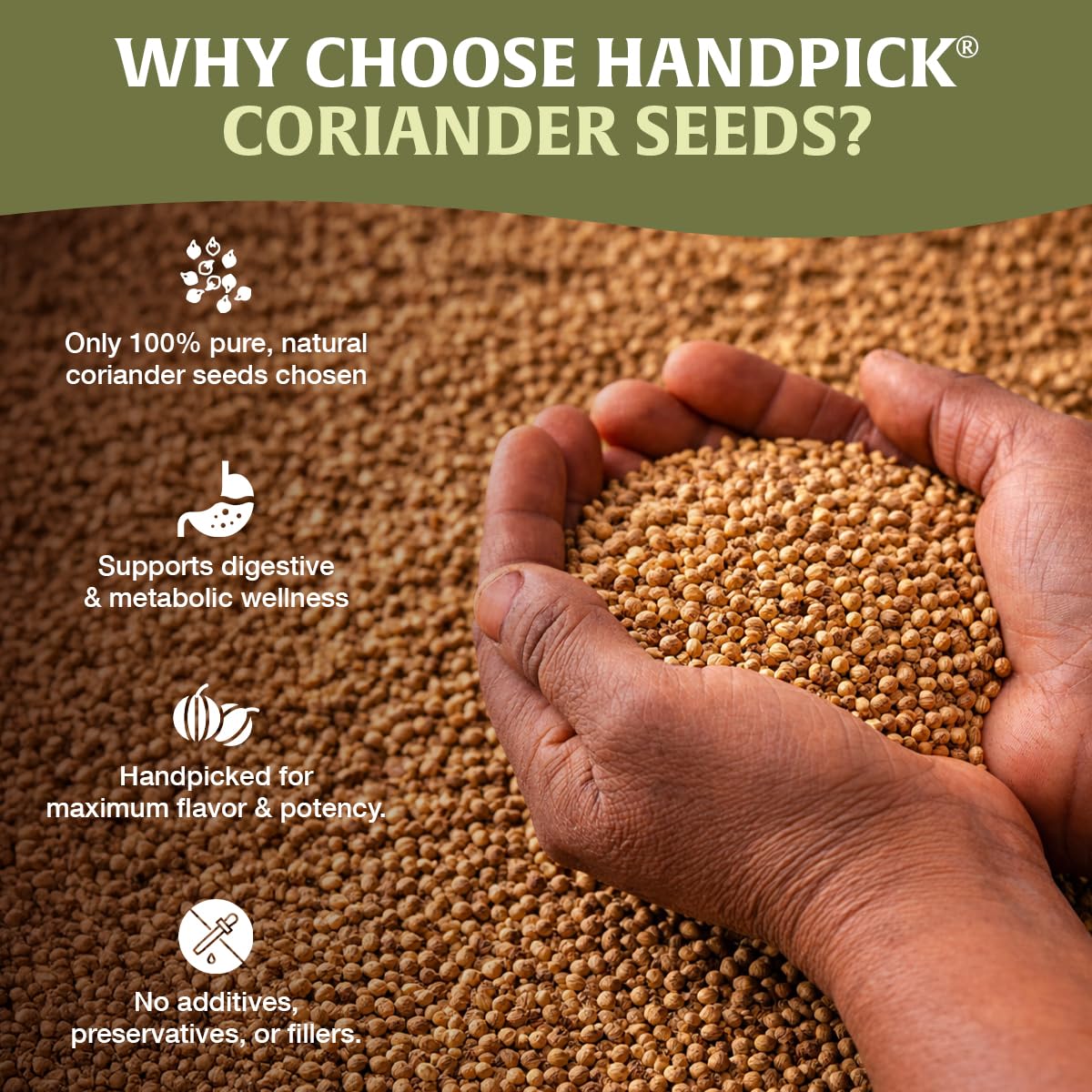 HANDPICK seeds being poured into a mortar for quick seasoning.