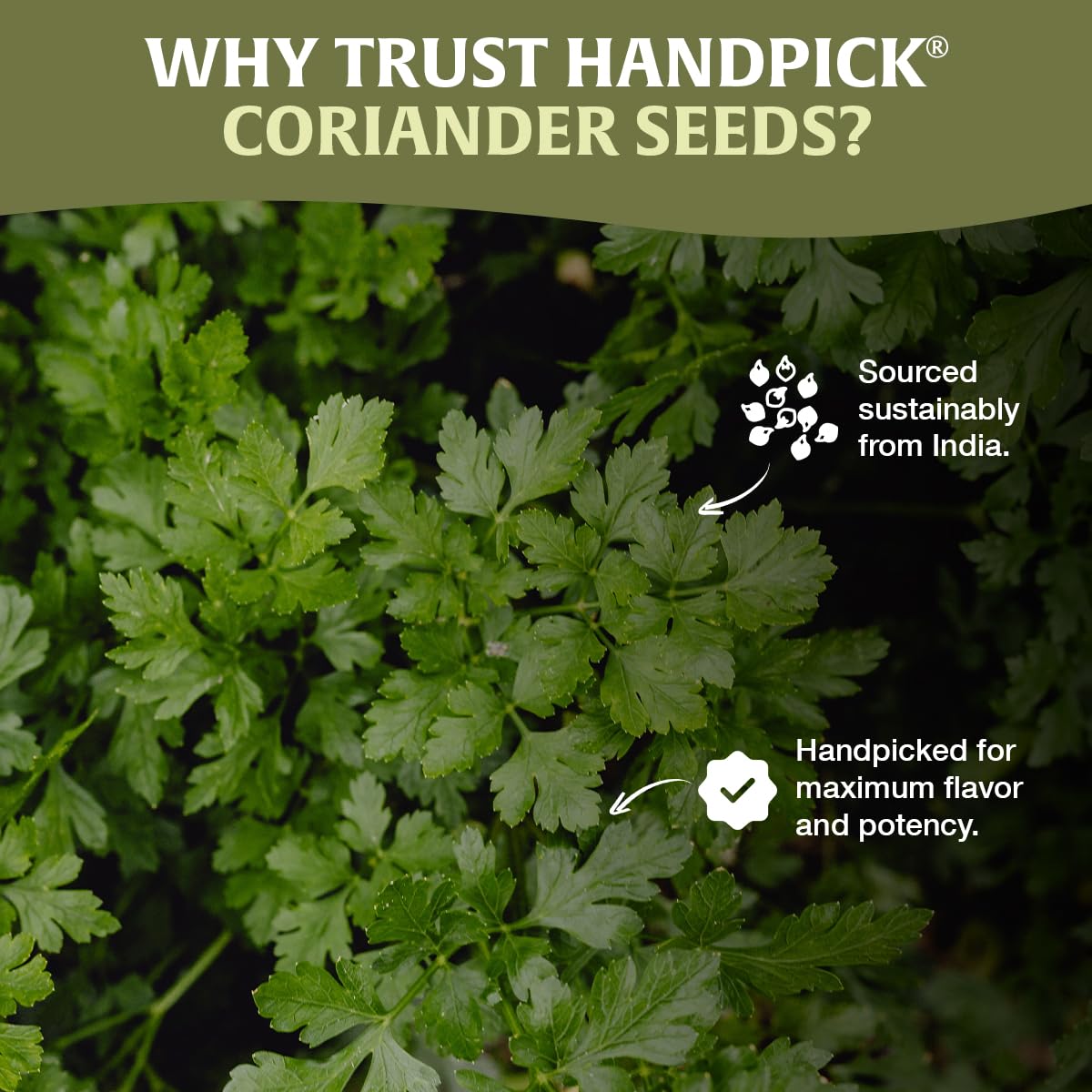 HANDPICK non-GMO and gluten-free badge appeals to clean-label cooking.