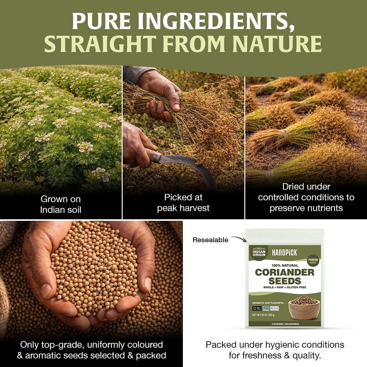 HANDPICK resealable pouch keeps coriander fresh after opening.