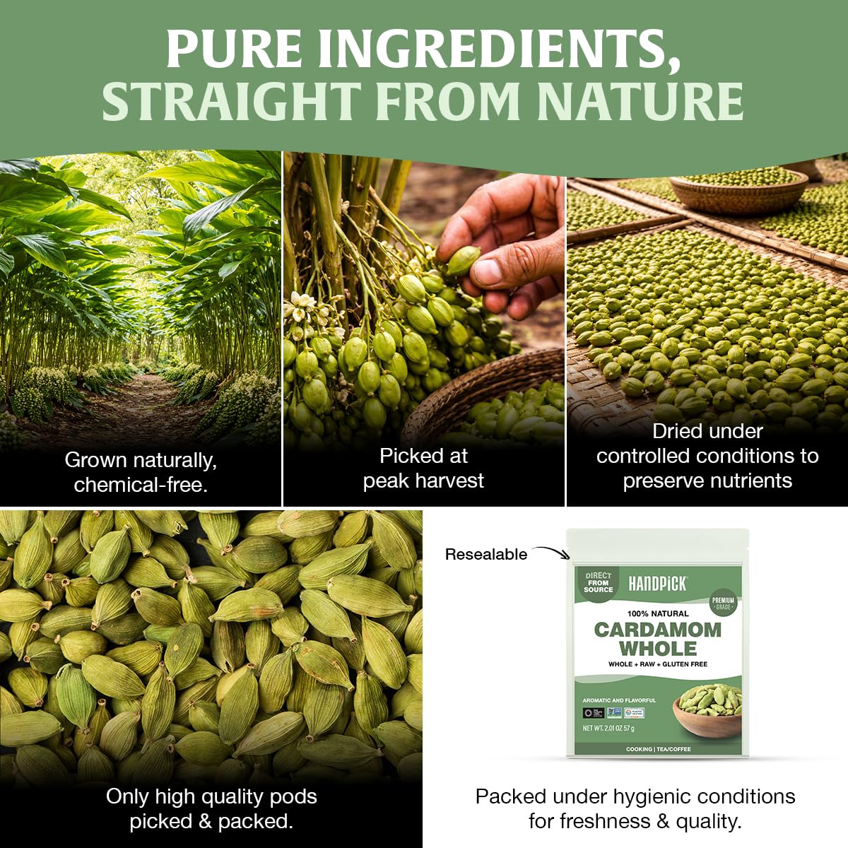 HANDPICK cardamom pods resealable zip pouch for freshness