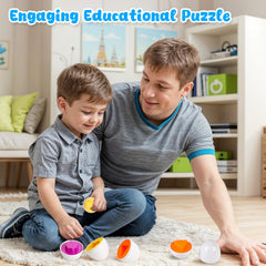 HANSGO Shape Matching Eggs open and close for engaging matching play