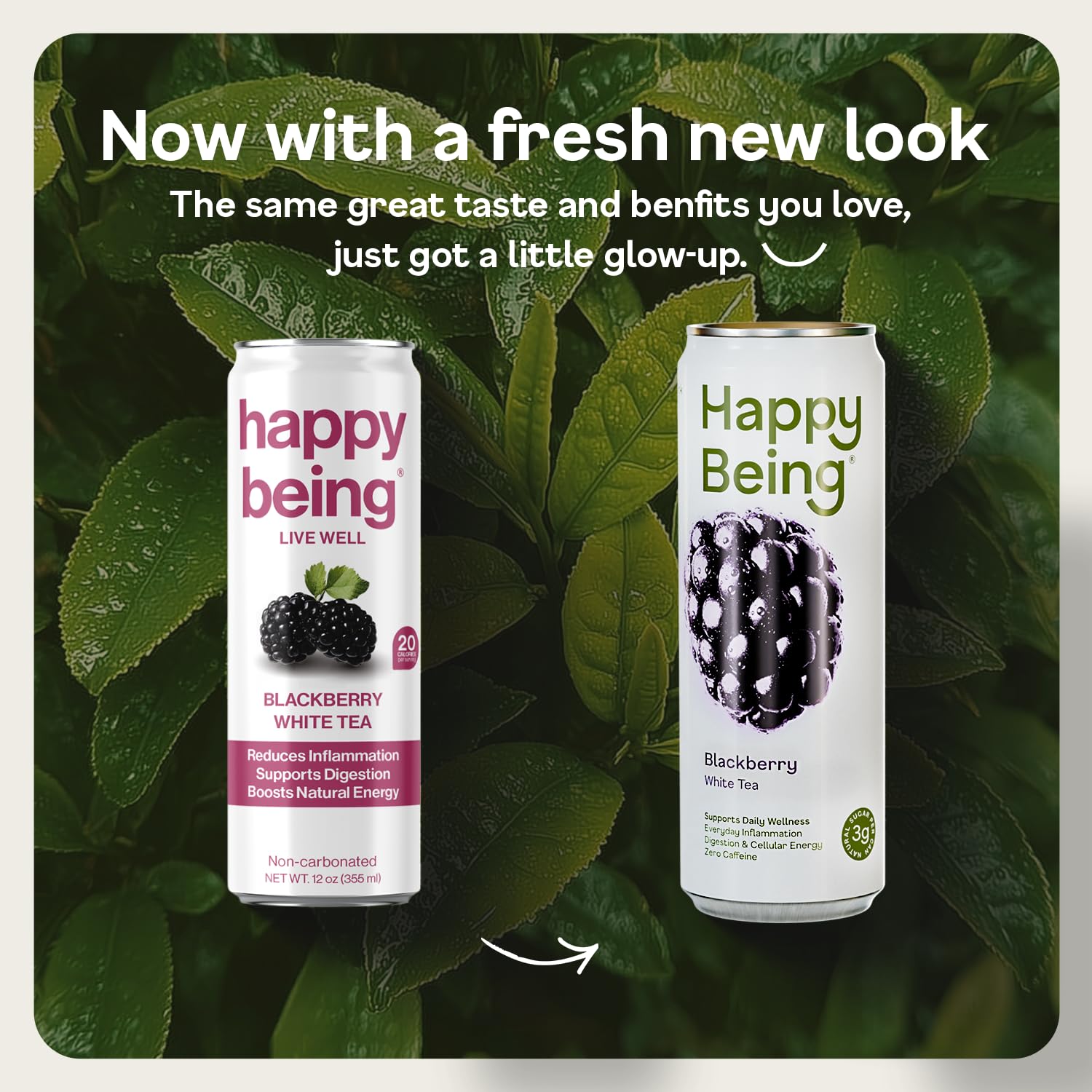 Happy Being White Tea Peach bottle pour delivers refreshing aroma and caffeine free sip.