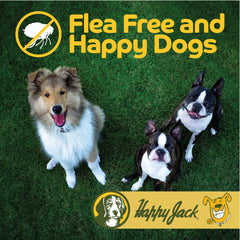 Happy Jack poudrage sur couchages des chiens pour une zone propre.