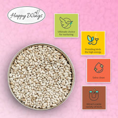 Outdoor bird feeding with Happy Wings safflower seeds attracts finches and songbirds.