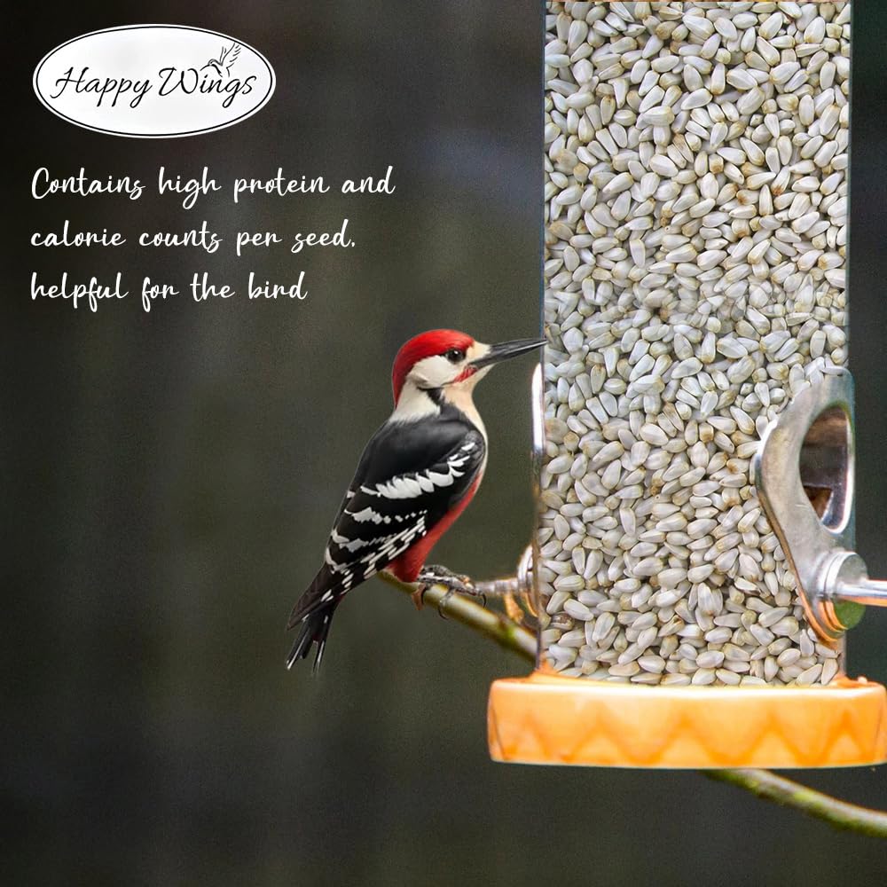 Happy Wings safflower seeds attract multiple birds in a backyard feeder.