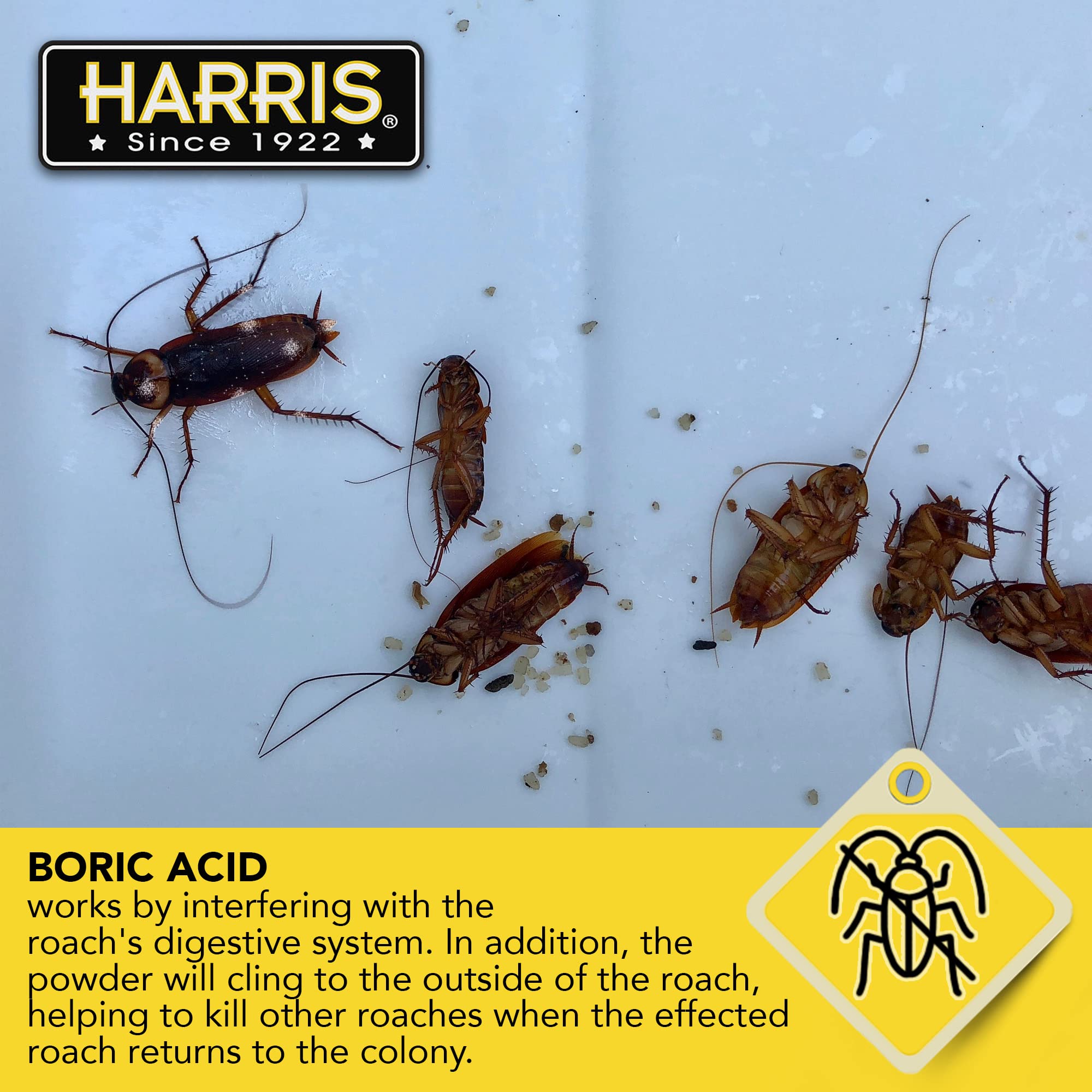HARRIS boric acid roach killer powder suitable for use in homes with people and pets.