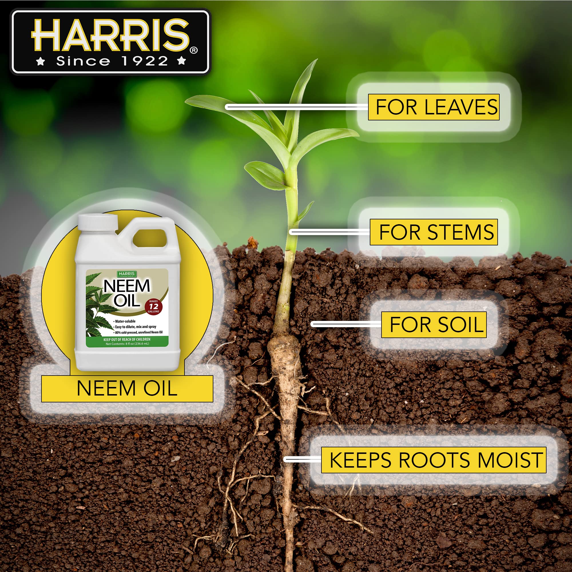 Harris Neem Oil leaf shine shows rejuvenated foliage after treatment.