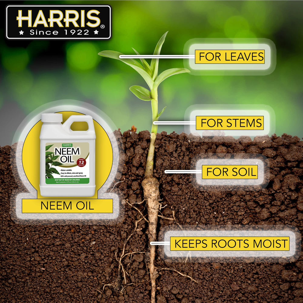 Harris Neem Oil leaf shine shows rejuvenated foliage after treatment.