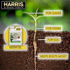 Harris Neem Oil leaf shine shows rejuvenated foliage after treatment.