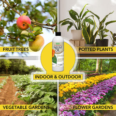 Harris neem oil applied to plant leaves to deter pests.