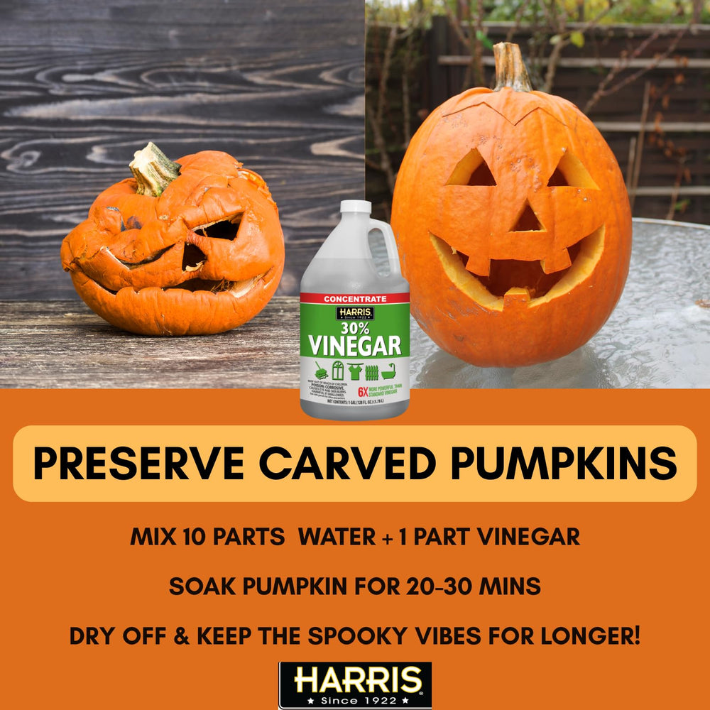 HARRIS spray action showing even coverage on surfaces.