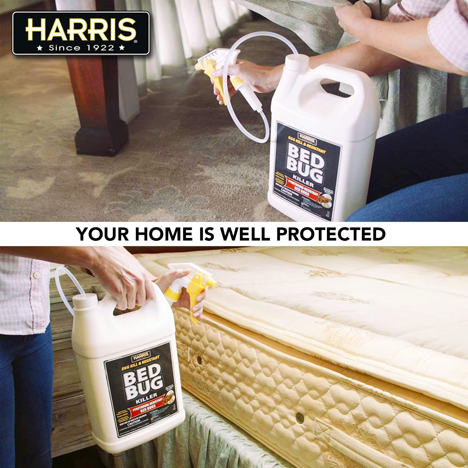 HARRIS spray applied to cracks and crevices for long lasting protection