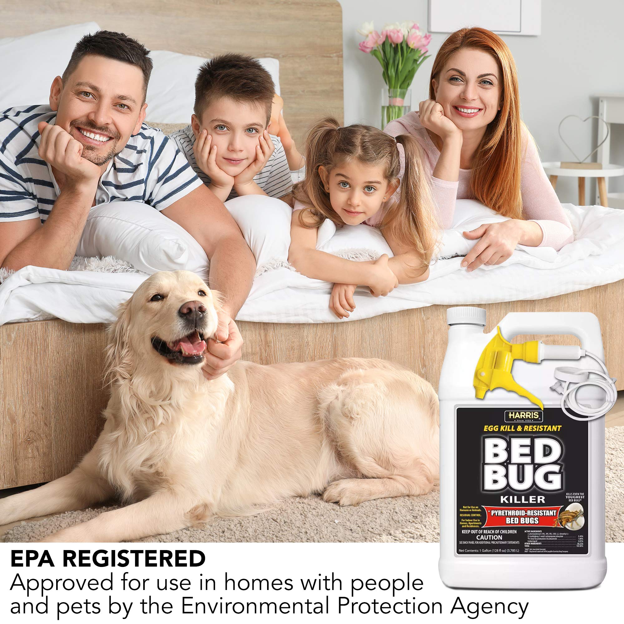 HARRIS spray kills bed bug eggs and adults on contact