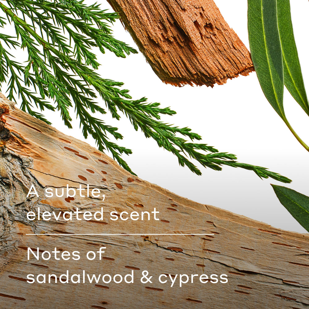 Harry's Wildlands 2-in-1 usage demonstrating root-to-tip lather.