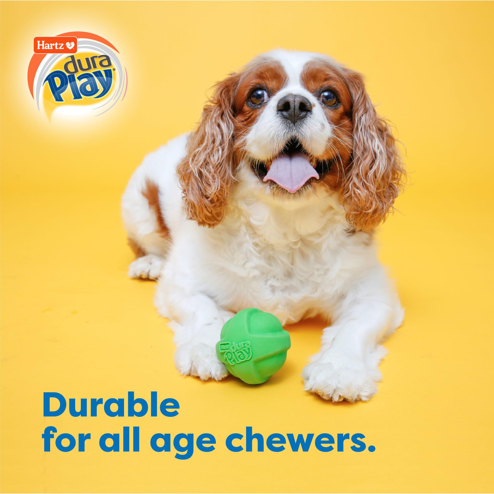 Hartz DuraPlay bone squeaky latex toy ideal for chew-friendly play.
