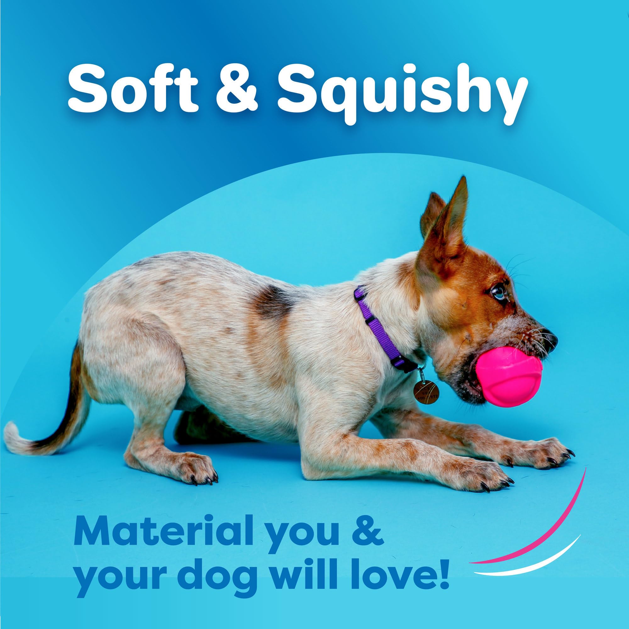 Hartz DuraPlay boomerang squeaky latex toy enhances interactive play.