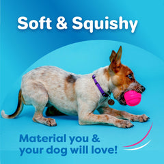 Hartz DuraPlay boomerang squeaky latex toy enhances interactive play.