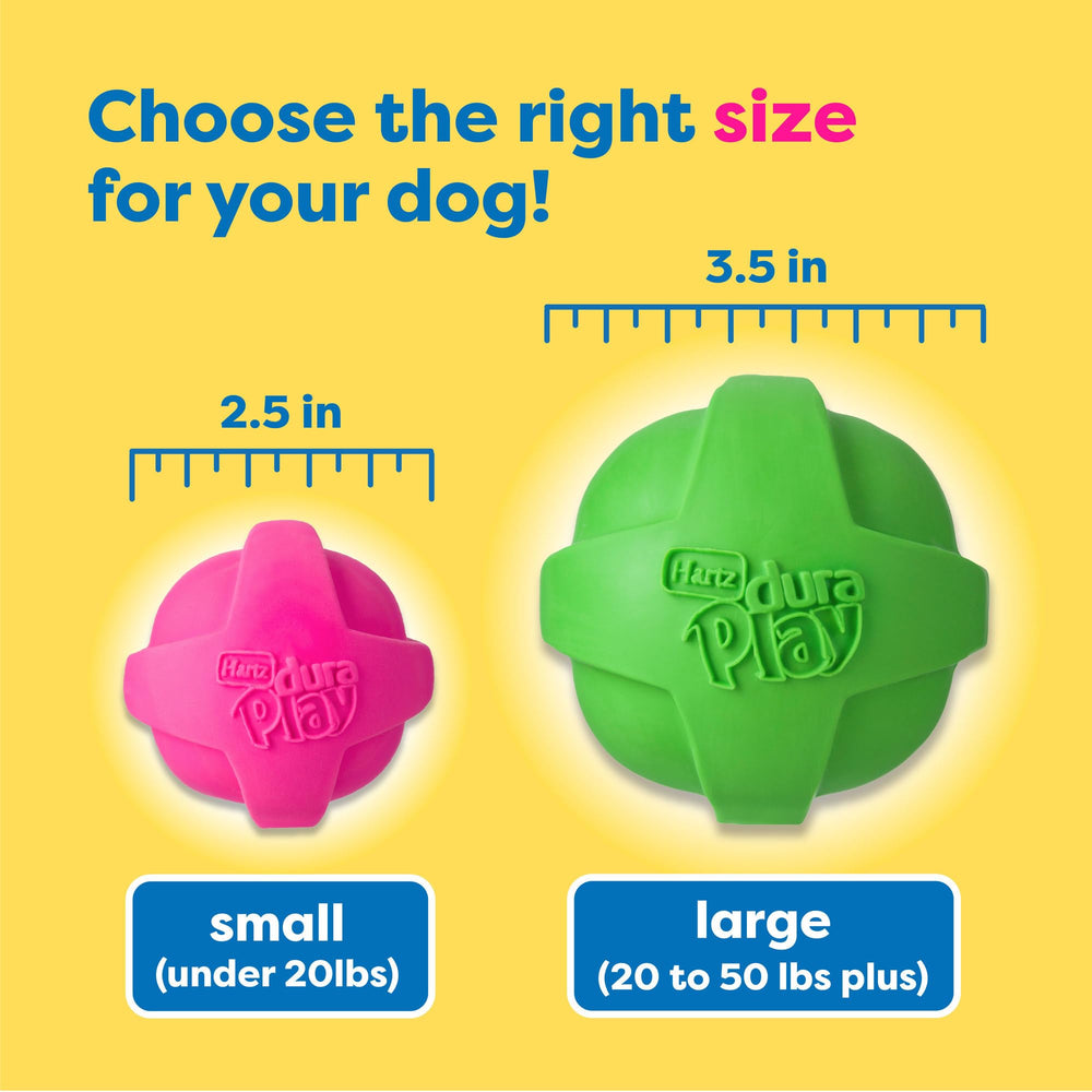 Hartz DuraPlay double tug ring squeaky toy for tug of war.