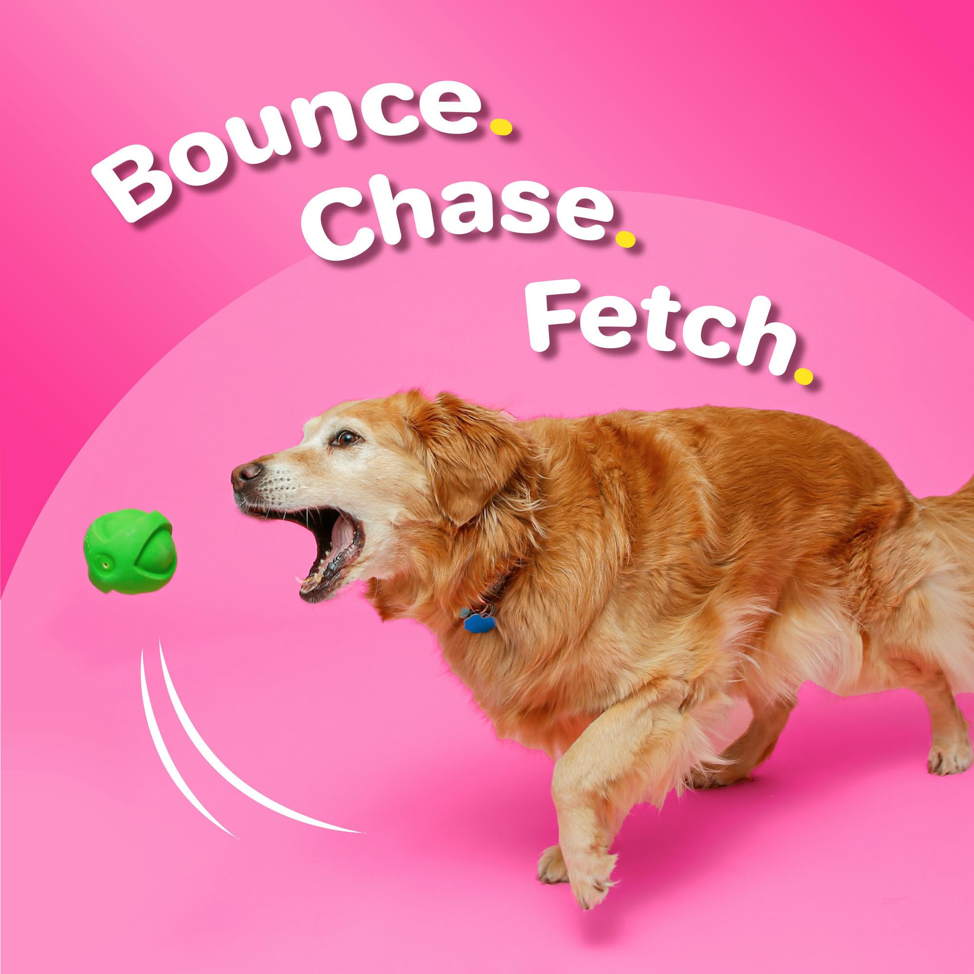 Hartz DuraPlay rocket squeaky toy provides light throw and bounce.