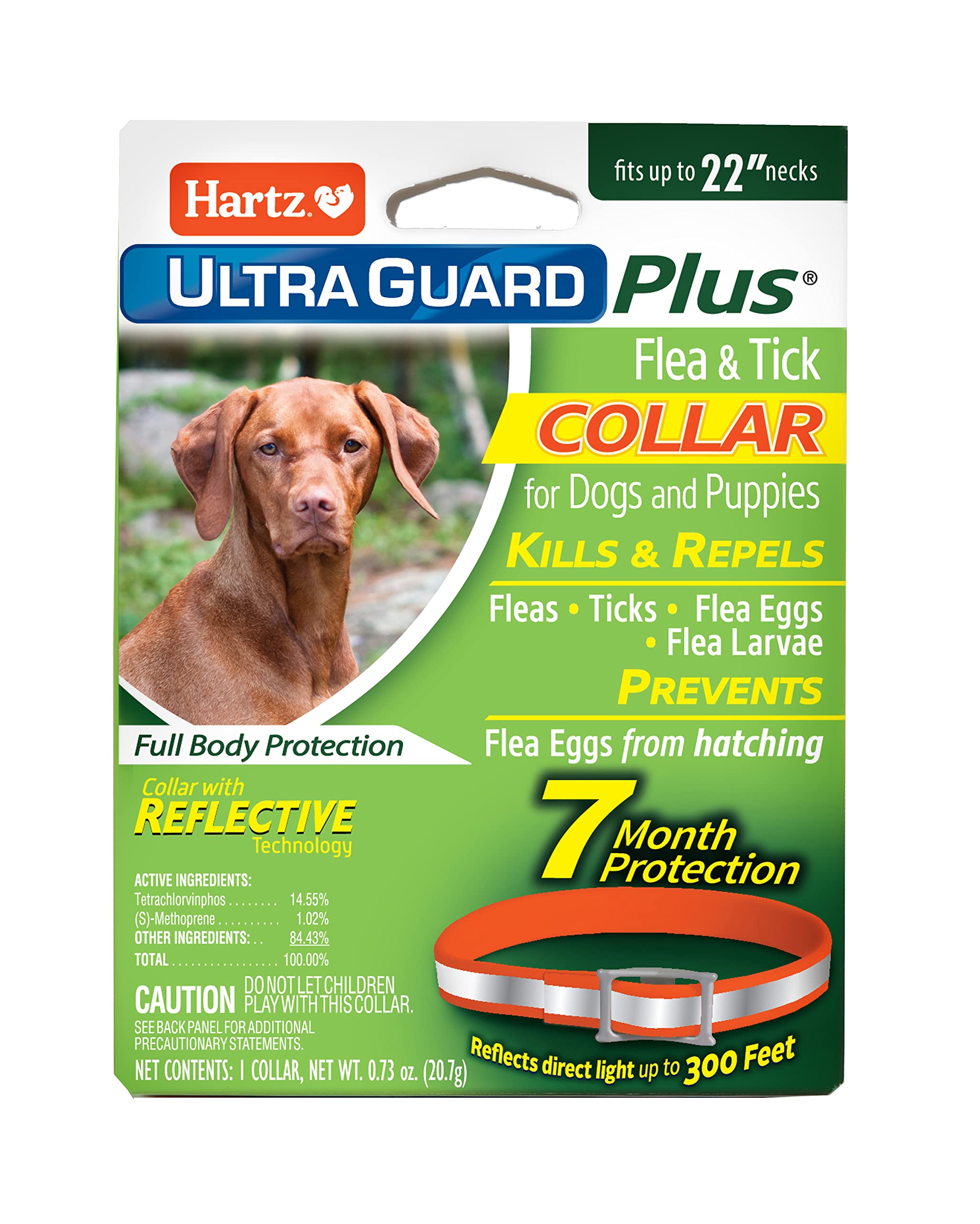Hartz UltraGuard Plus orange collar on a dog's neck for flea and tick protection