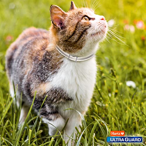 Cat and kitten users benefit from ongoing Hartz UltraGuard Pro protection