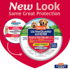 Hartz UltraGuard ProMax gray collar on a dog neck during play