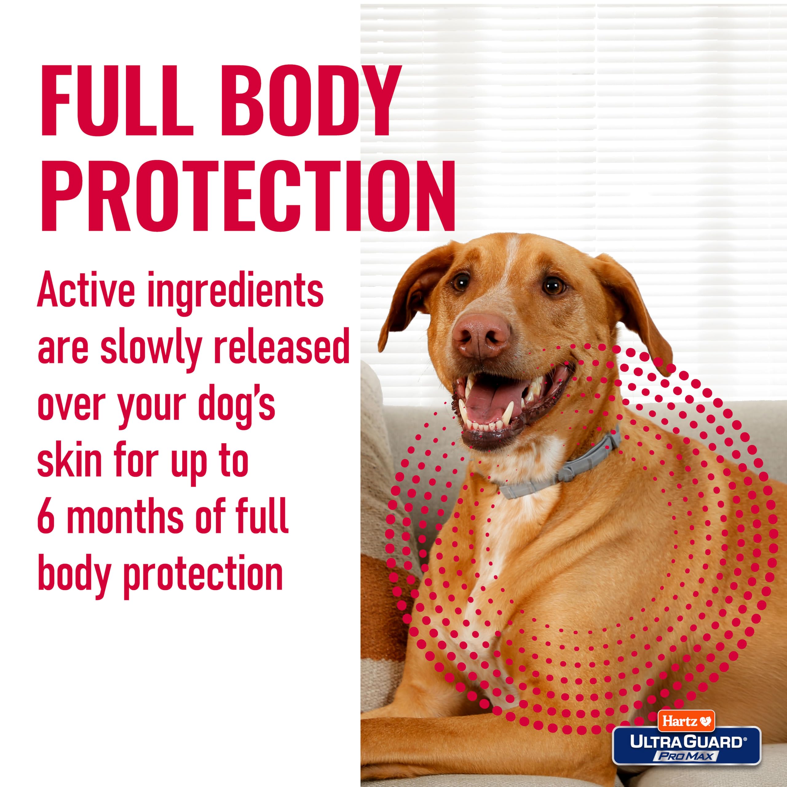 Water-resistant Hartz ProMax collar remains effective after baths