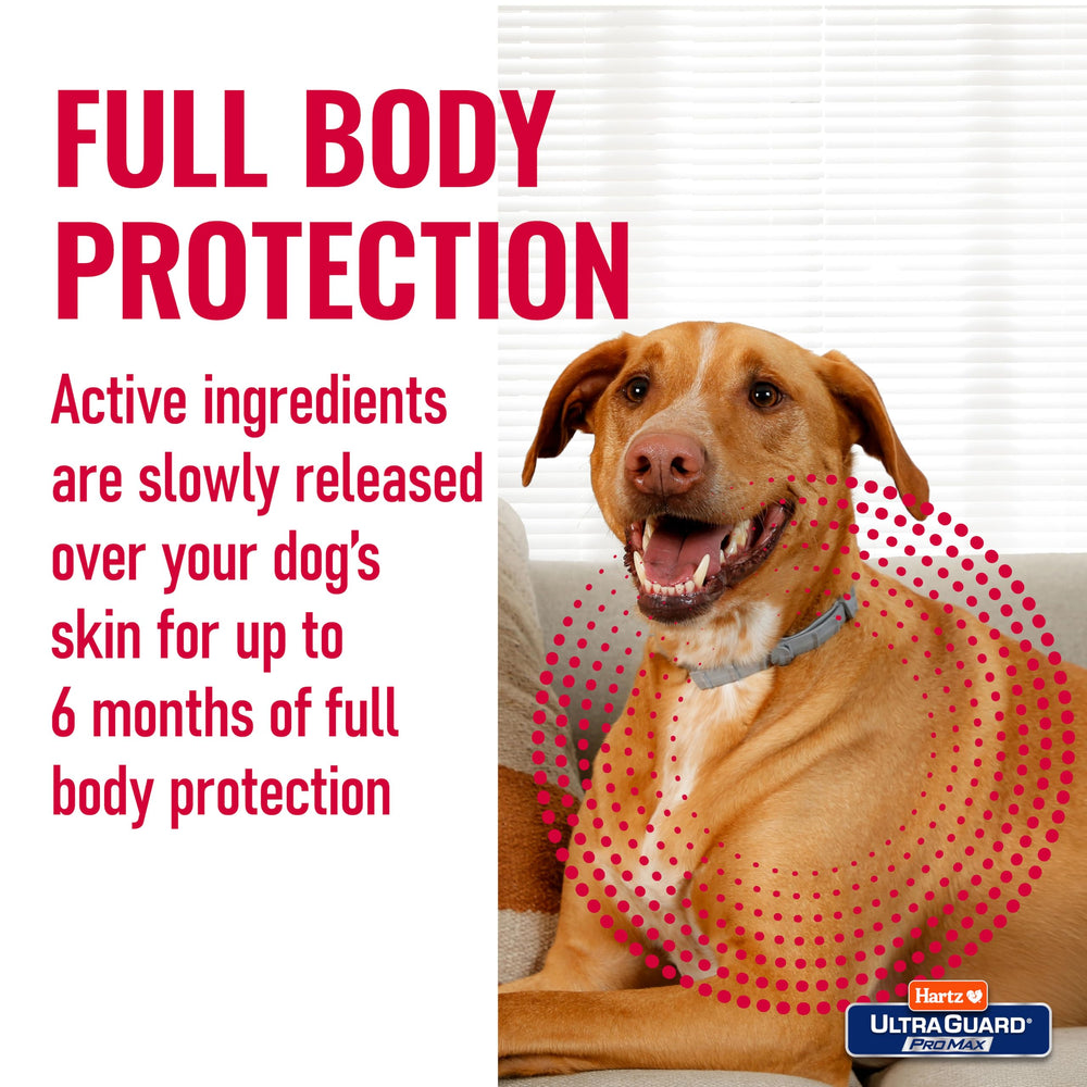 Water-resistant Hartz ProMax collar remains effective after baths