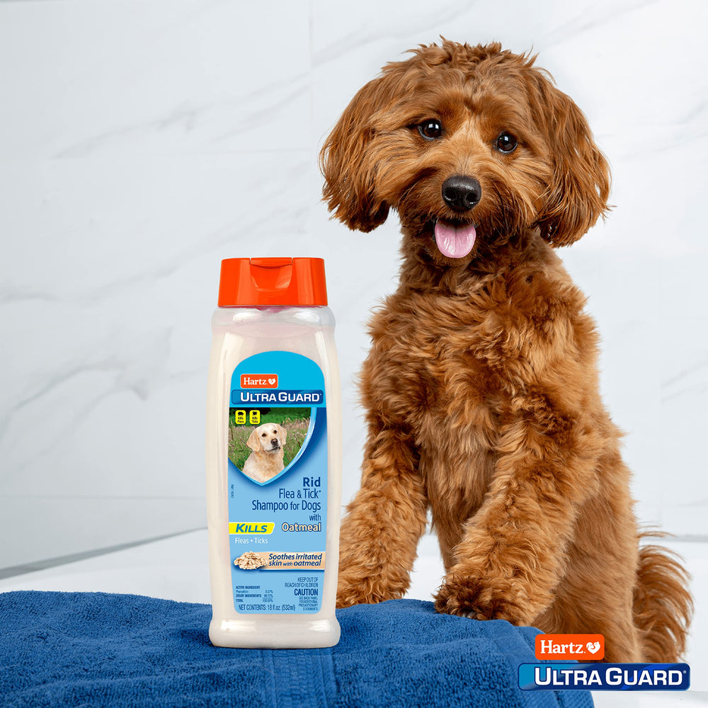 Hartz UltraGuard Rid After-wash coat appears clean and refreshed