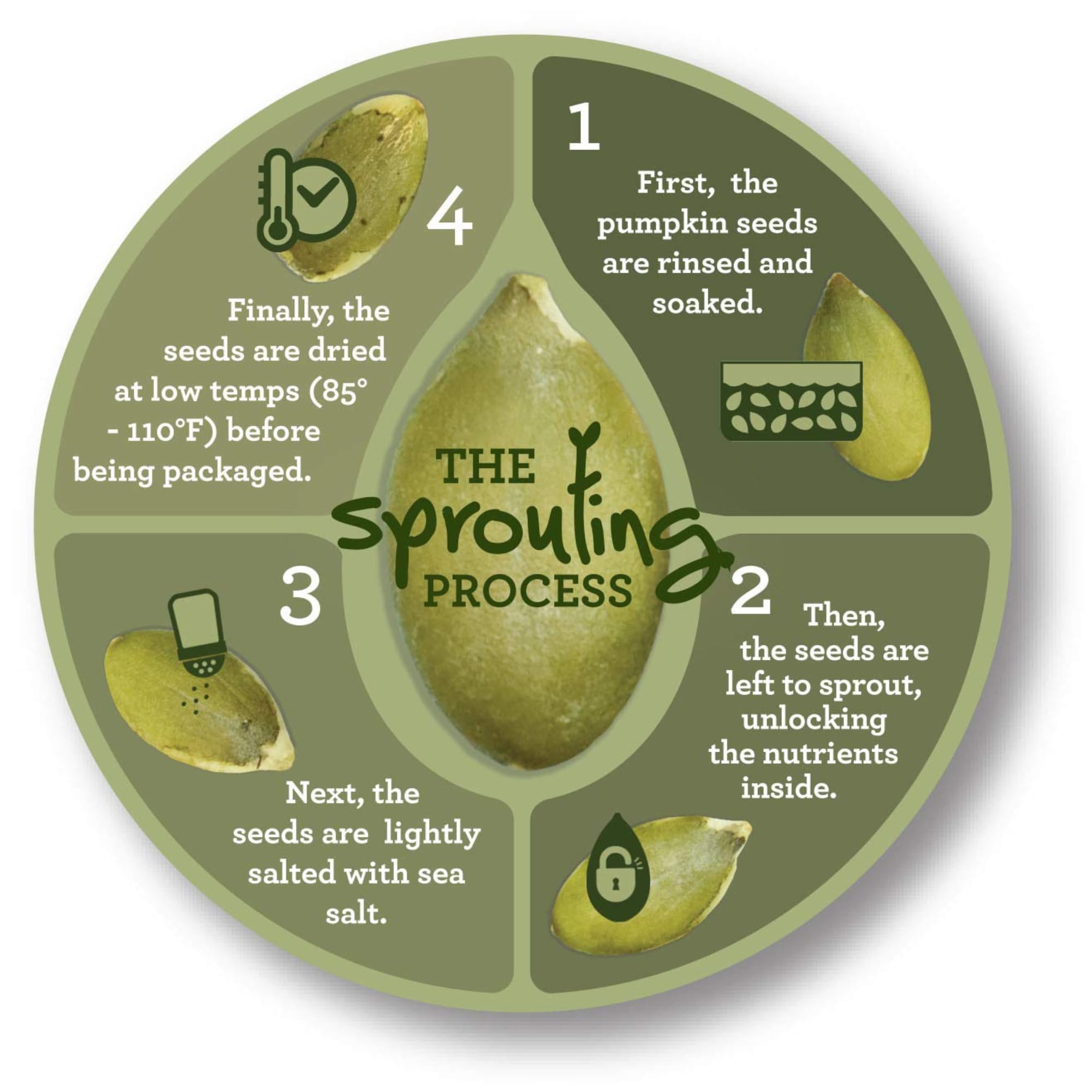 Harvested For You peanut-free facility emphasizes allergy-conscious production