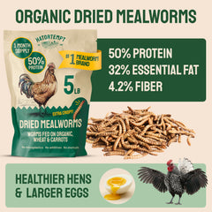 Close-up of Hatortempt dried mealworms showing crisp texture for birds.