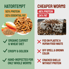 Resealable Hatortempt bag keeps dried mealworms fresh for poultry and wildlife.