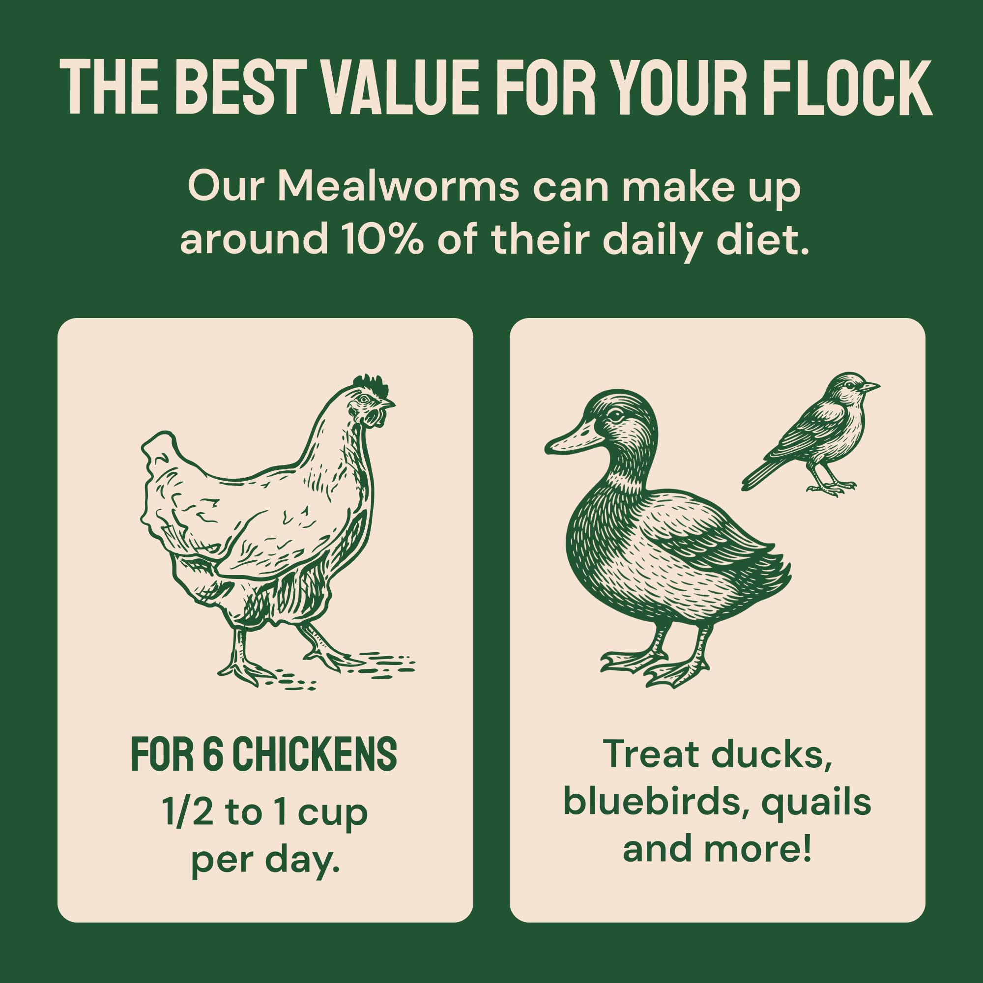 Hatortempt dried mealworms provide winter nutrition for backyard flocks.