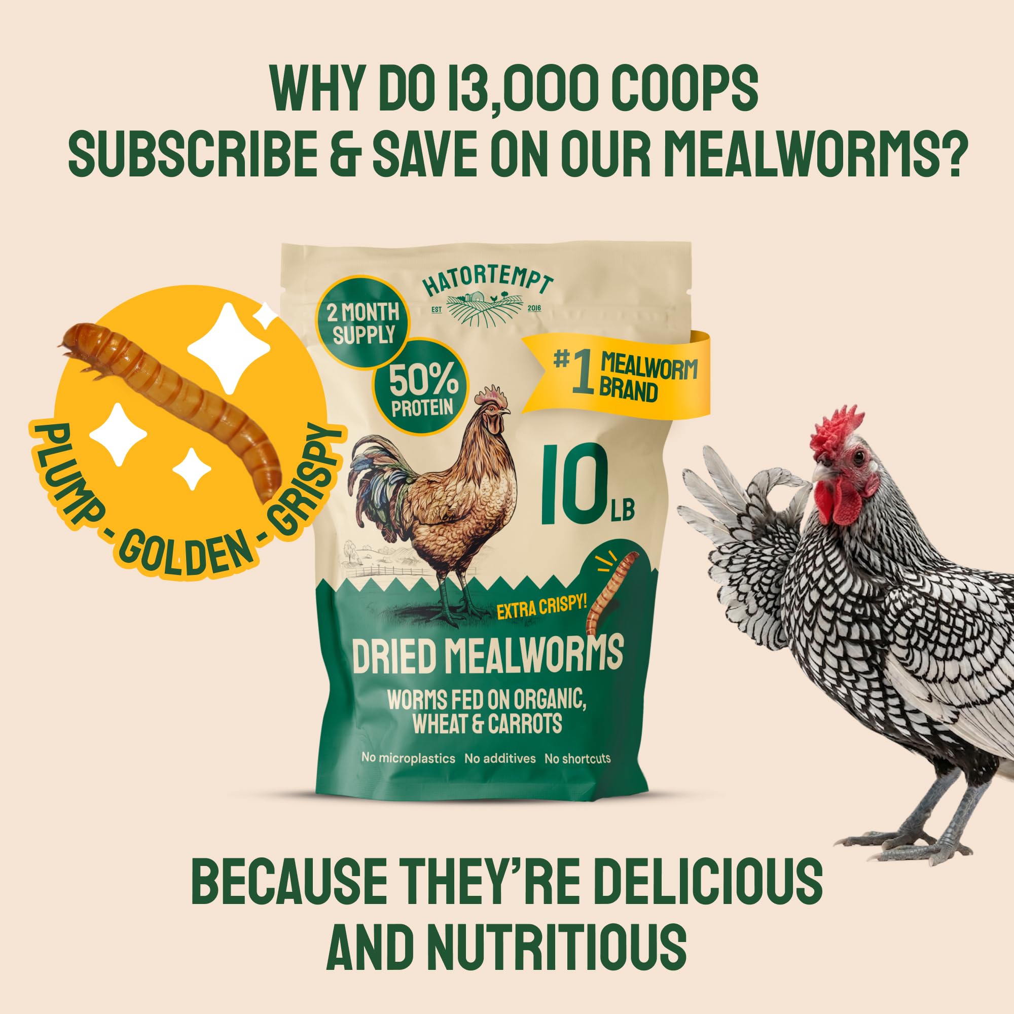 Resealable Hatortempt bag keeps mealworms fresh between feedings.